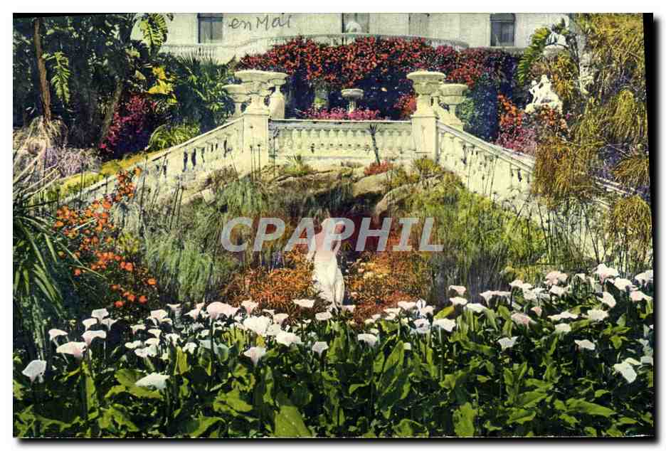 CPA La Cote D'Azur Un Coin De Jardin Fleuri