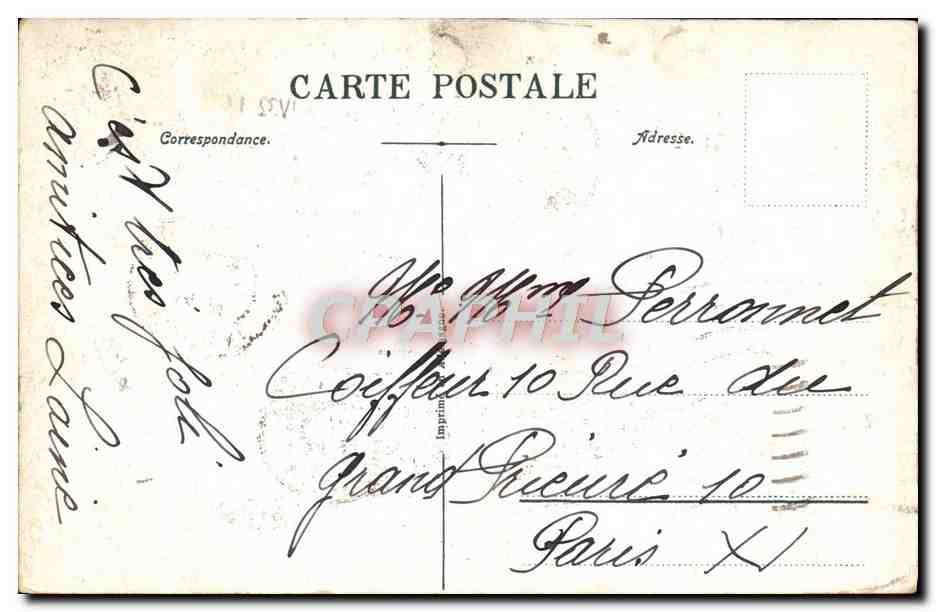 CPA Cote D'Azur Mimosas Fleurs  — Rückseite