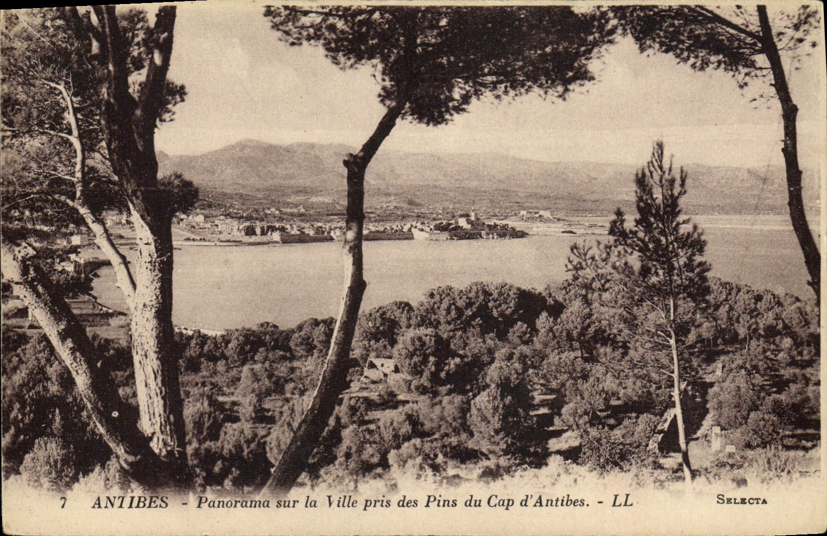 Antibes - Panorama sur la Ville prise des Pins du Cap d'Antibes - Selecta
