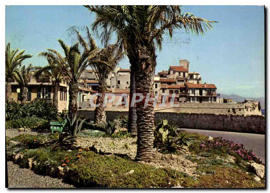 CPM Antibes La Vieille Ville Les Jardins et les Remparts
