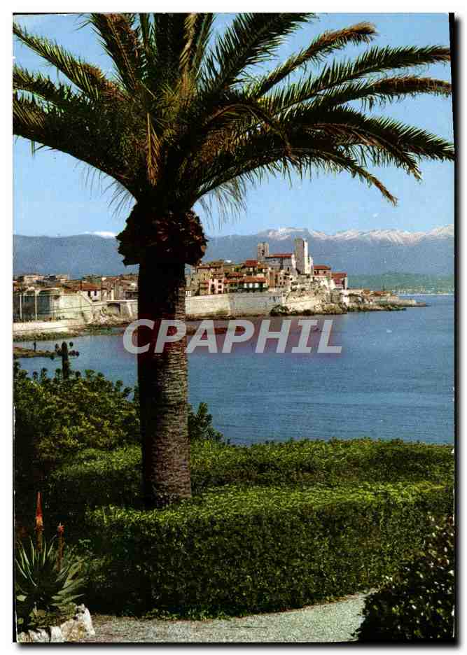 CPA Antibes Cote D'Azur French Riviera
