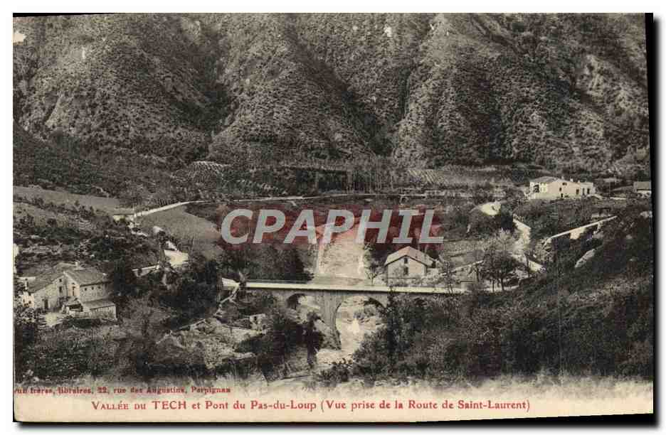 CPM Vallee Du Tech et Pont du Pas Loup Vue prise de la route de Saint Laurent 