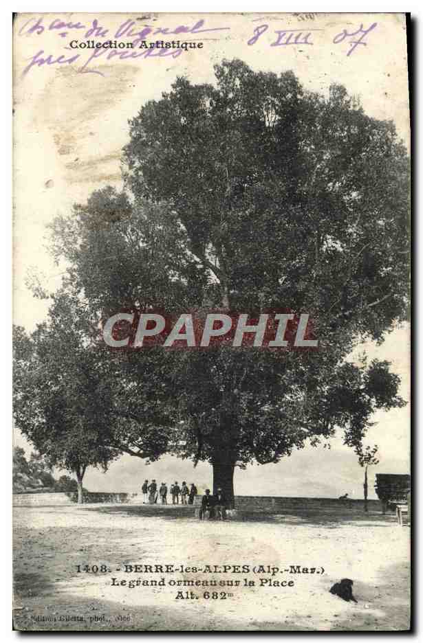CPA Berre Les Alpes Le grand ormeau sur la place 