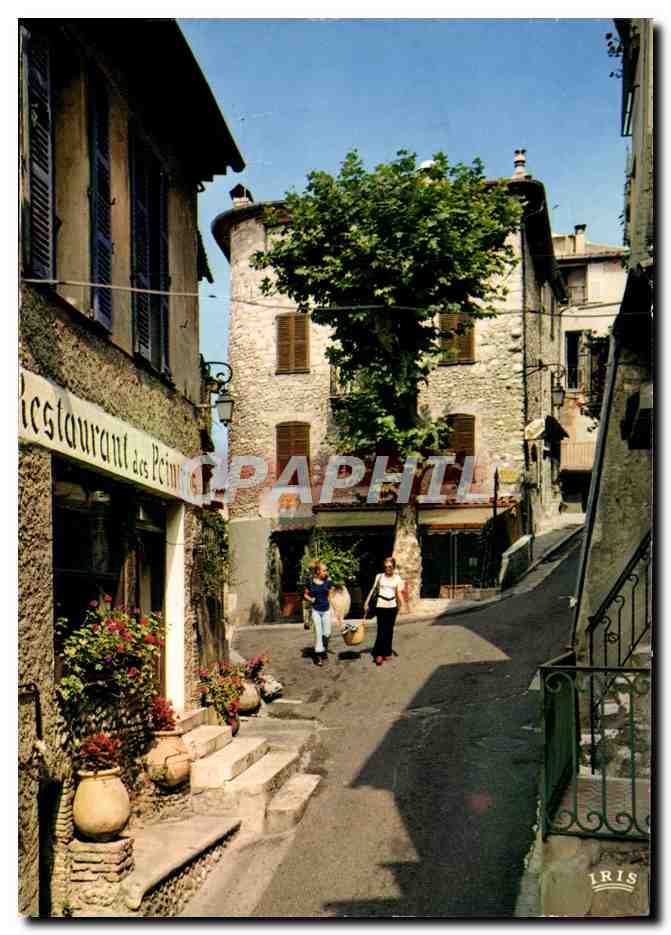 CPM Haut de Cagnes Montee de la bourgade Restaurant des peintres