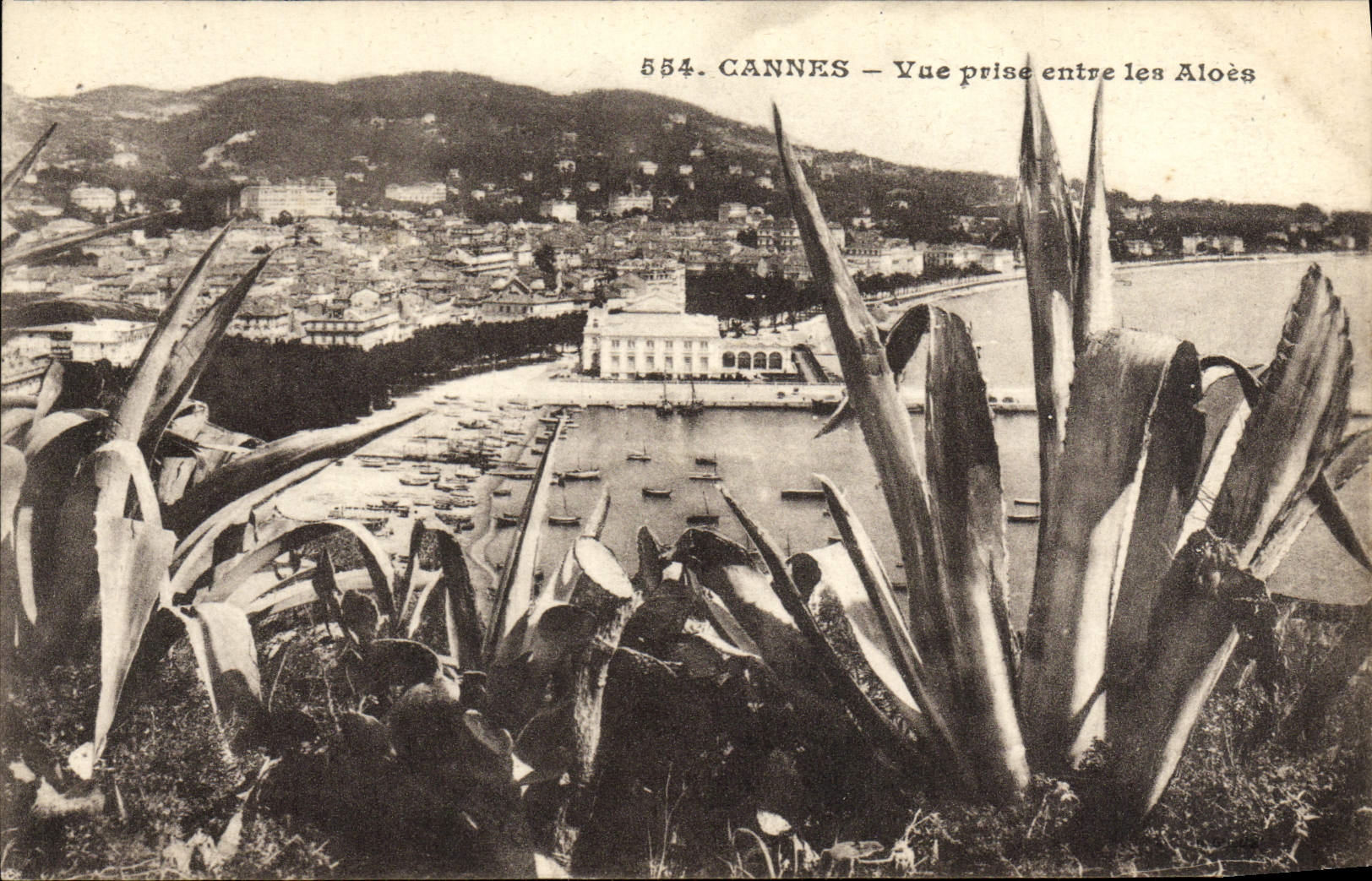 CPA Cannes Vue Prise Entre les Aloes
