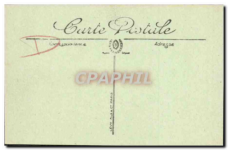 CPA Cannes Les Palmiers de la Croisetle et le Mont Chevalier — Rückseite