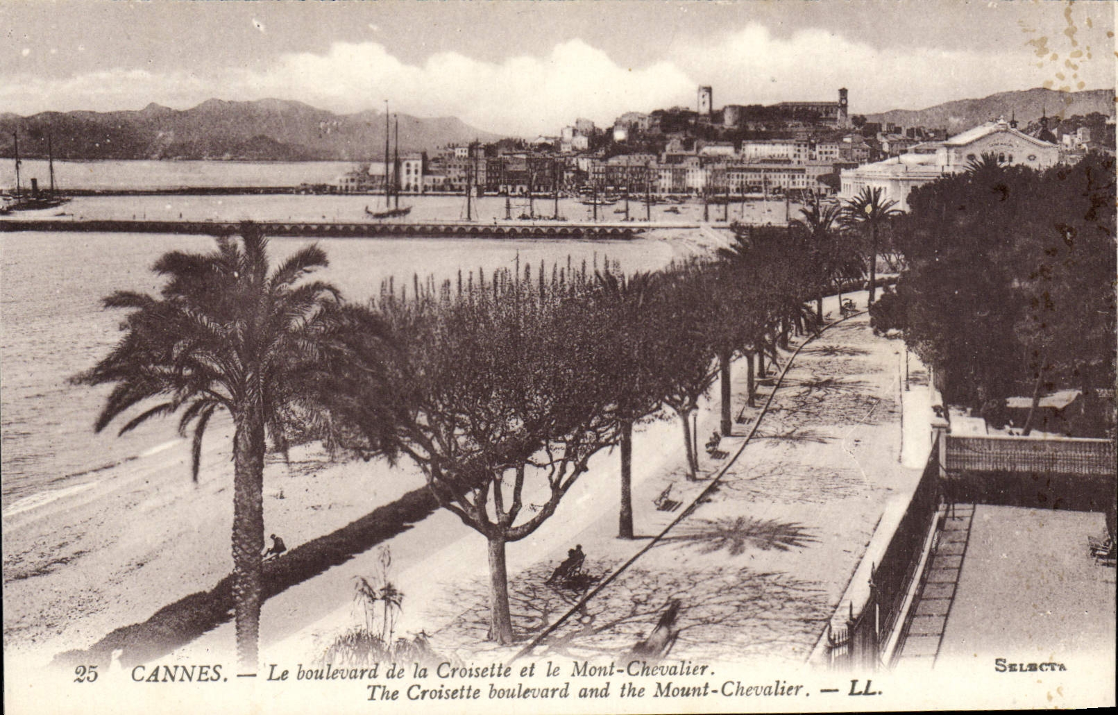 CPA Cannes Le Boulevard de la Croisette et le Mont Chevalier