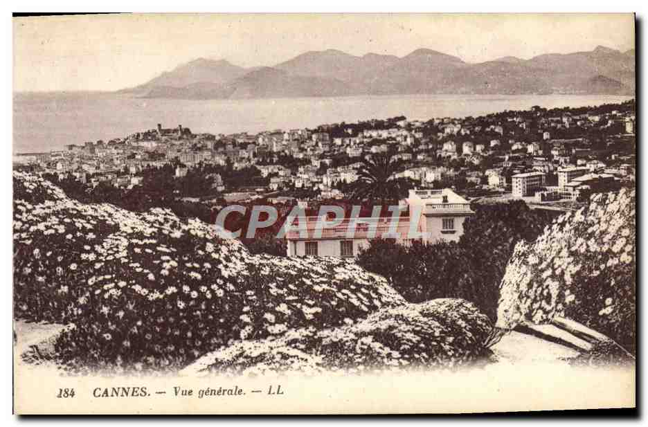CPA Cannes Vue Generale