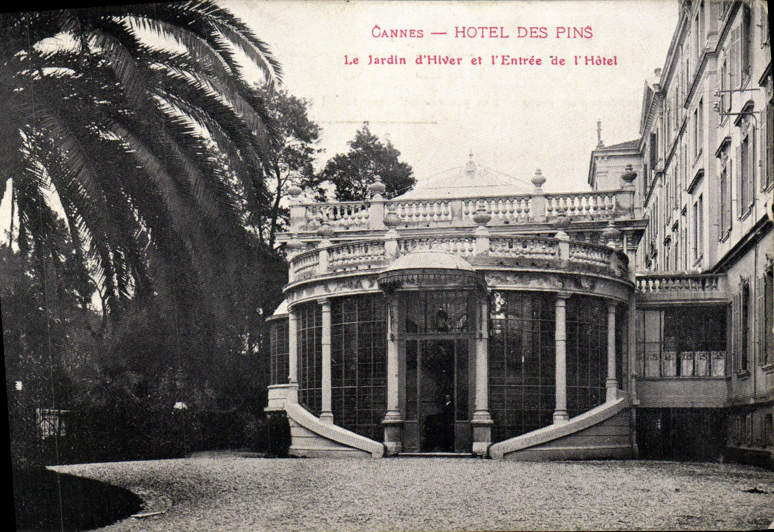 CPA Cannes Hotel Des Pins Le jardin d'hiver et l'entree de l'hotel 