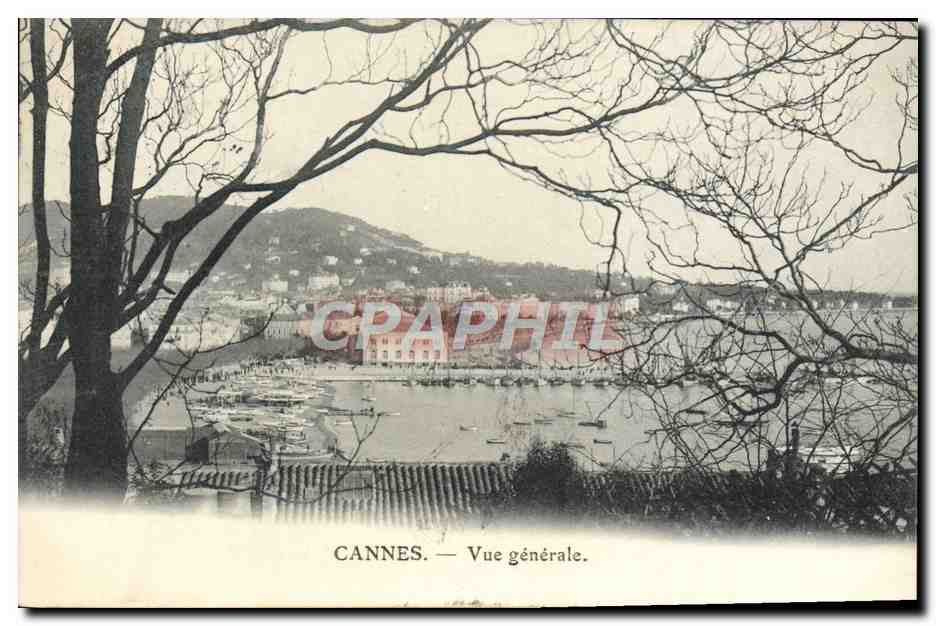 CPA Cannes Vue Generale