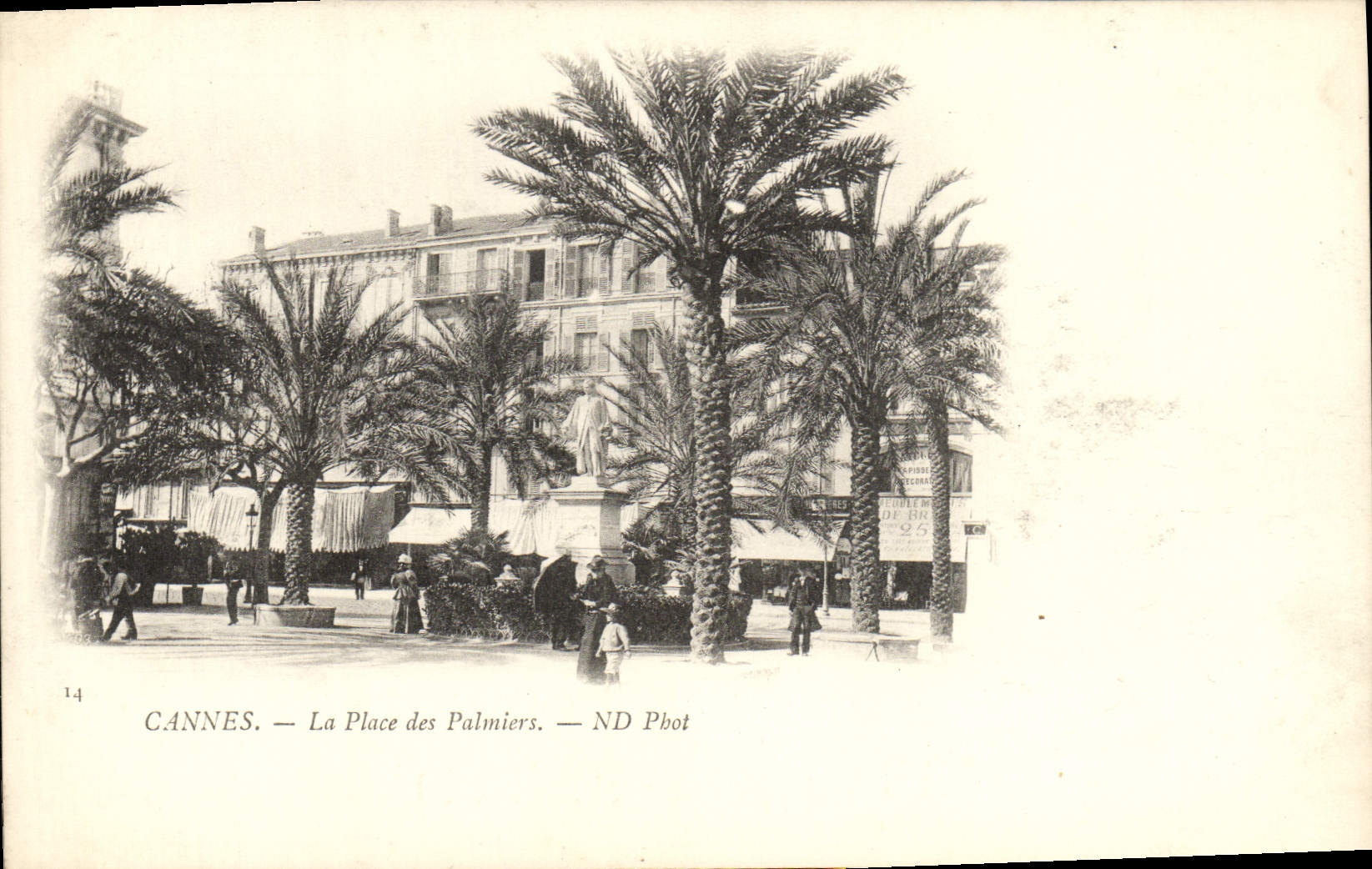 CPA Cannes La Place des Palmiers