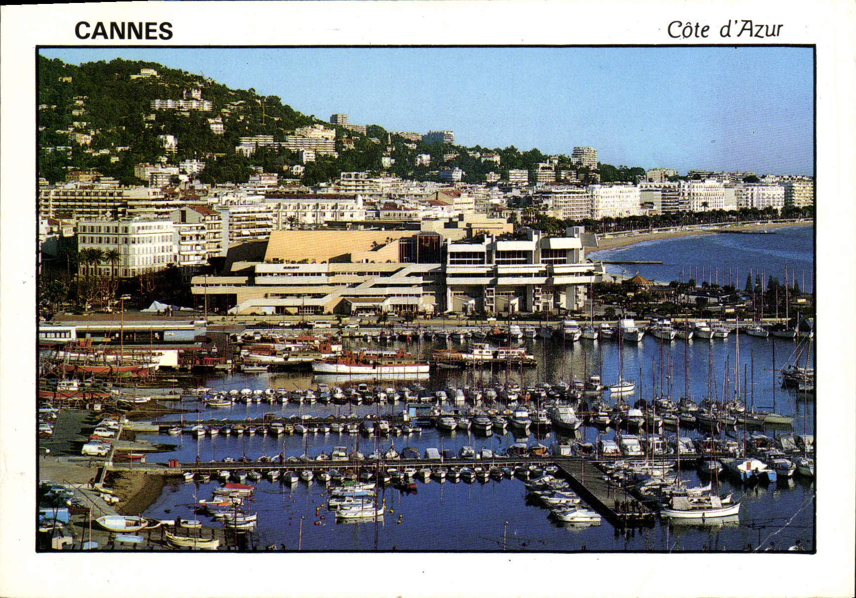 CPM Cannes Le Palais des Festivals et des Congres