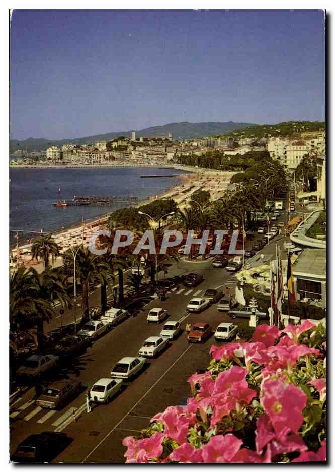 CPM Cannes La Promenade de la Croisette Dans le Fond le Suquet