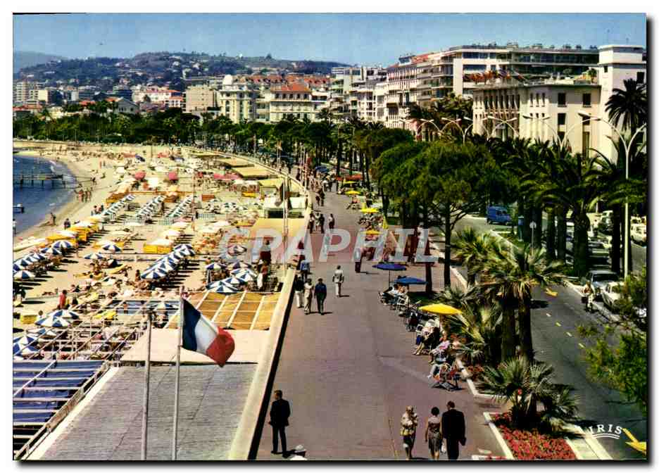 CPM Cannes La Croisette Le palais des festivals