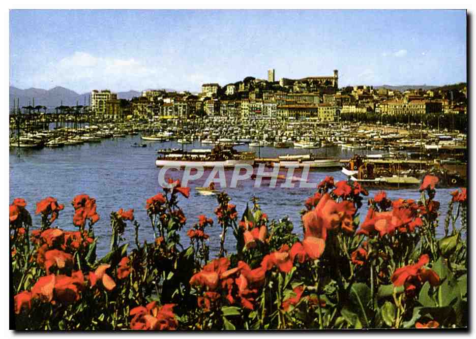CPM Cannes Vue Generale Sur Le Suquet et un Coin du port