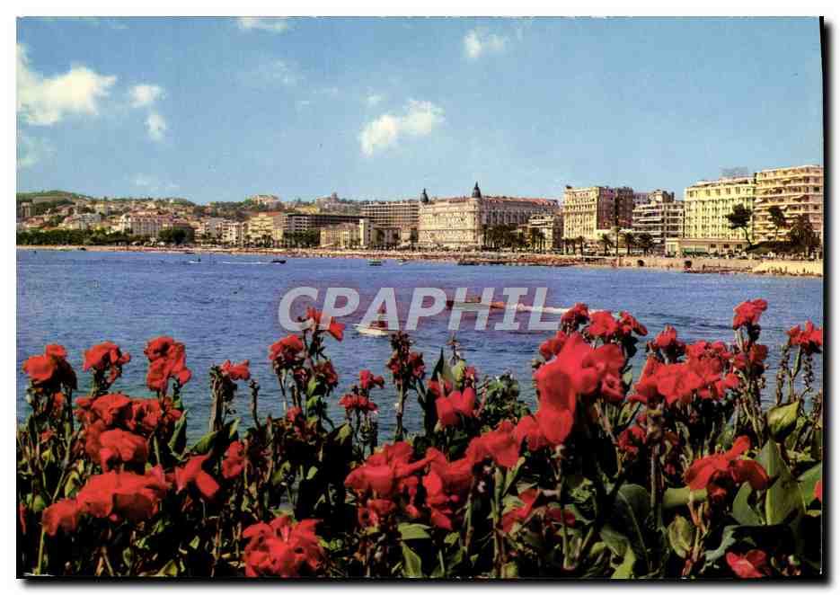 CPM Cannes Vue Generale Sur la Croisette