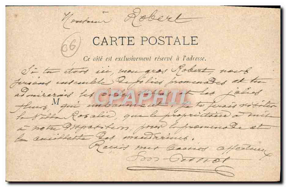 CPA Cannes Promenade Ane Mule — Verso