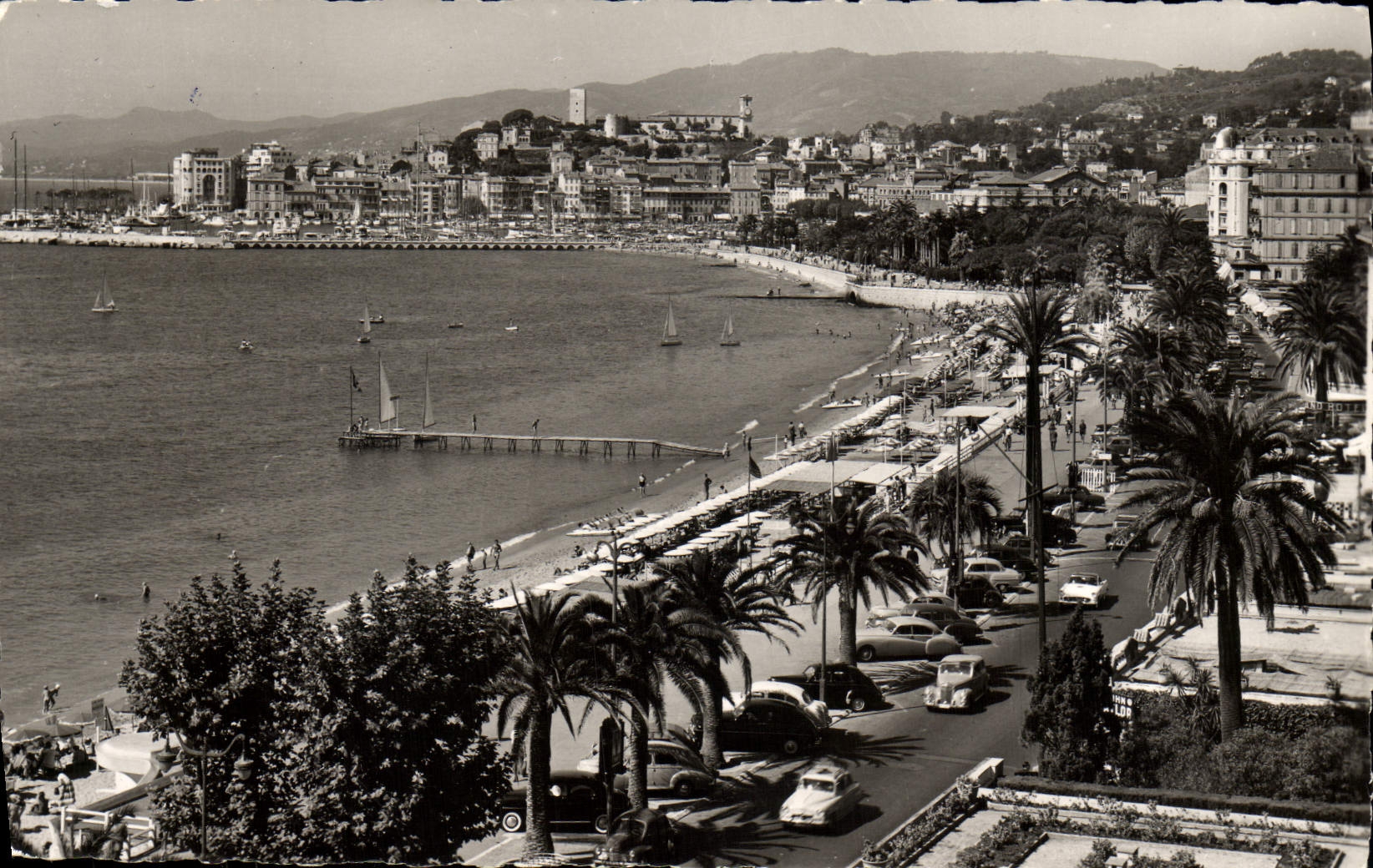 CPA Cannes Vue Generale