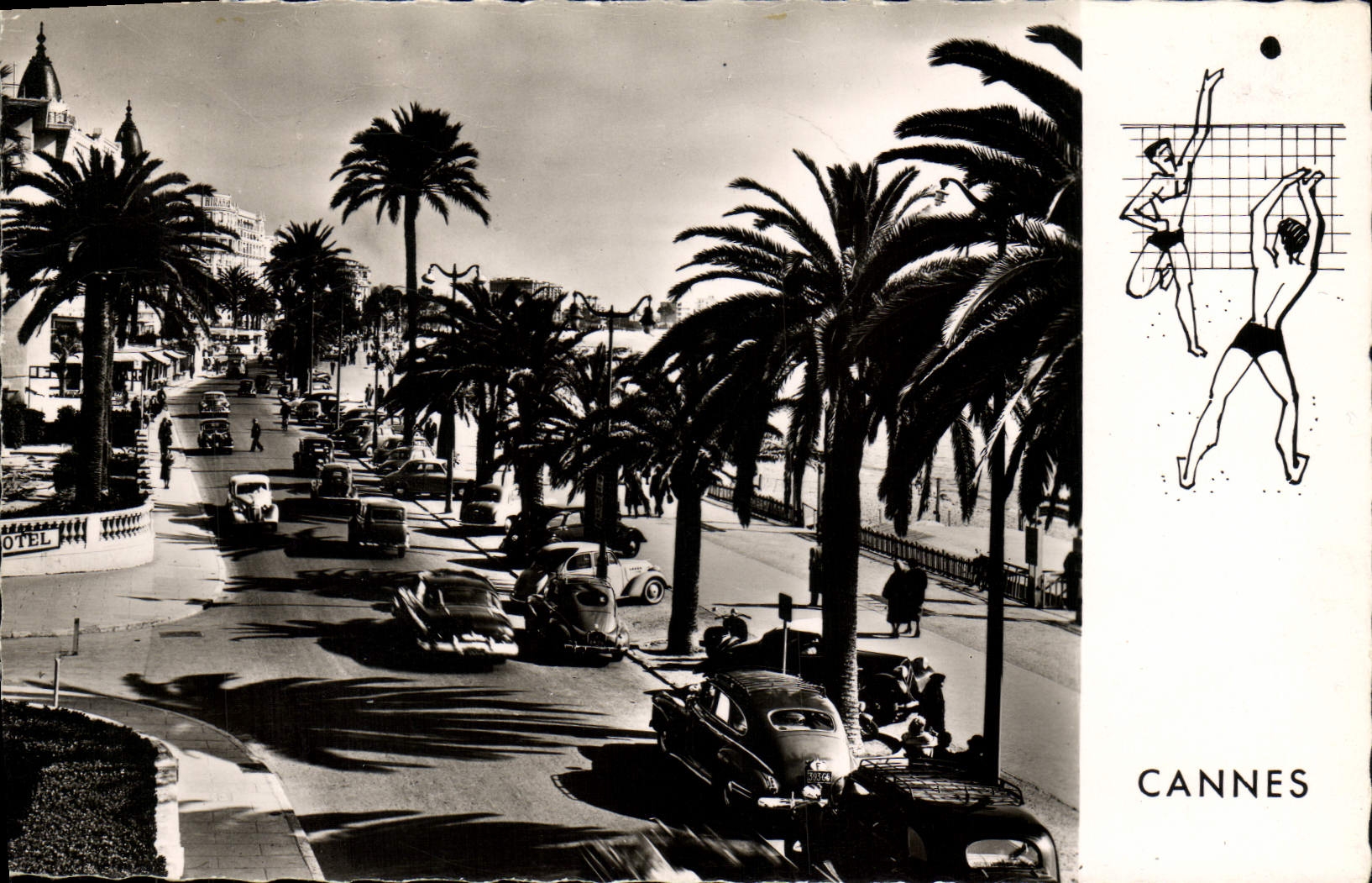 CPA Cannes La Promenade de la Croisette Volley Ball volley-Ball