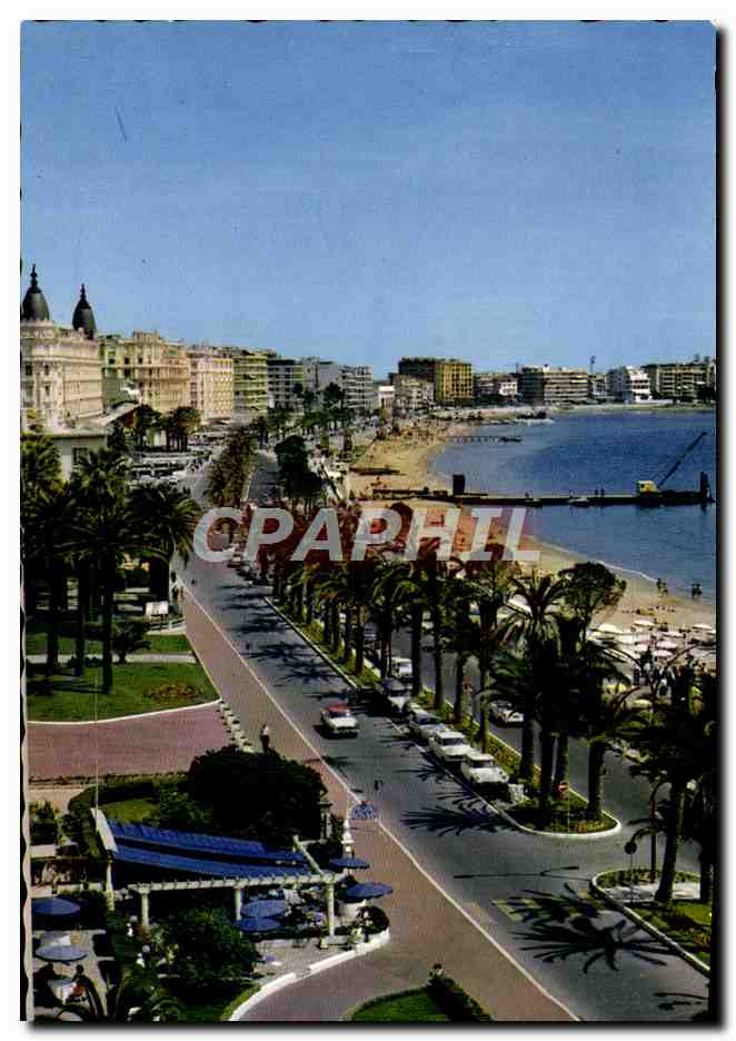 CPA Cannes Carlton le Miramar et la Martinez avec la nouvelle croisette a double voie 
