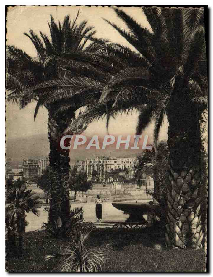 CPA Cannes Le Parc Albert 1er