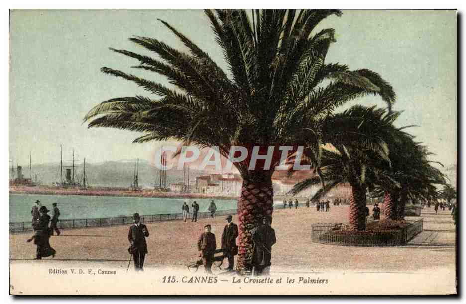 CPA Cannes La Croisette et les Palmiers