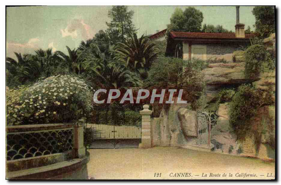 CPA Cannes La Route De la Californie