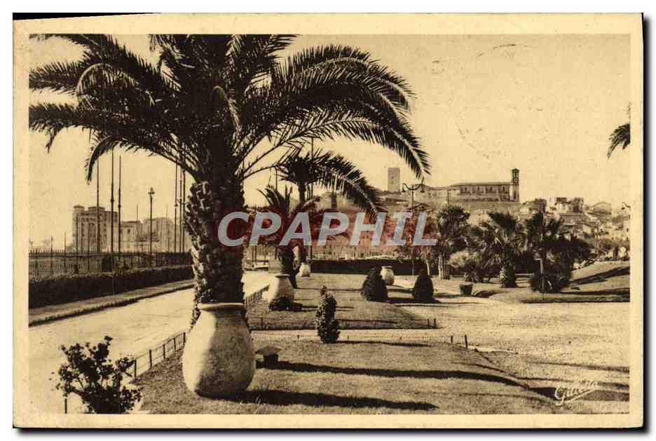 CPA Cannes Les Jardins 