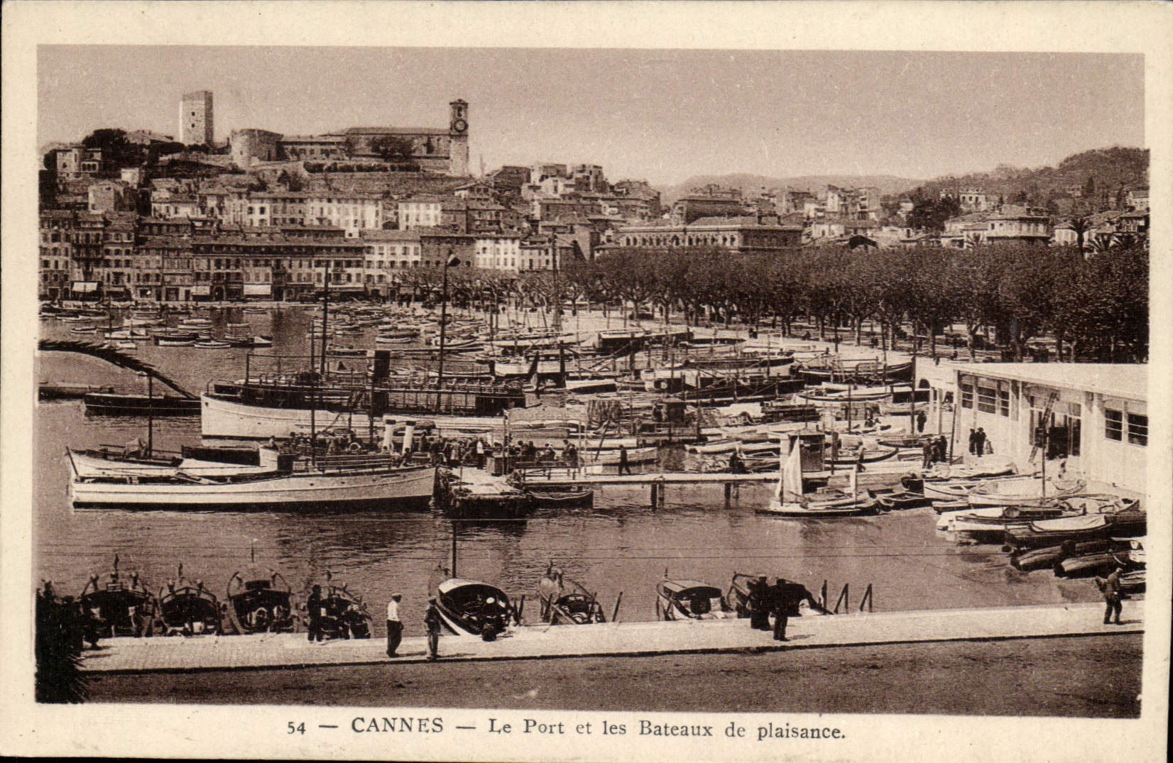 CPA Cannes Le Port et les Bateaux de Plaisance 