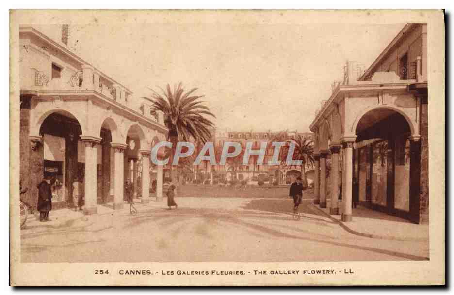 CPA Cannes Les Galeries Fleuries 