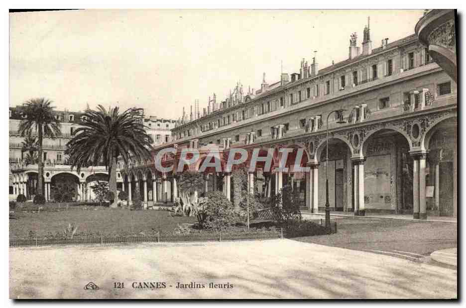 CPA Cannes Jardins fleuris 