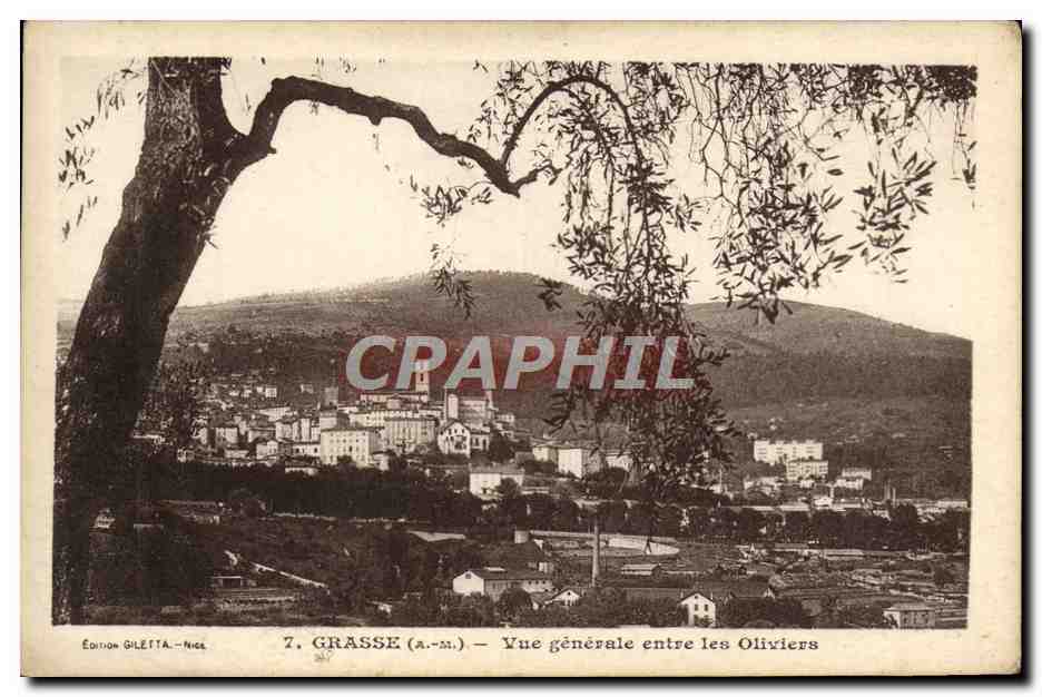 Grasse (A.-M.) — Vue générale entre les Oliviers — Édition Gilettà-Nice, n°7