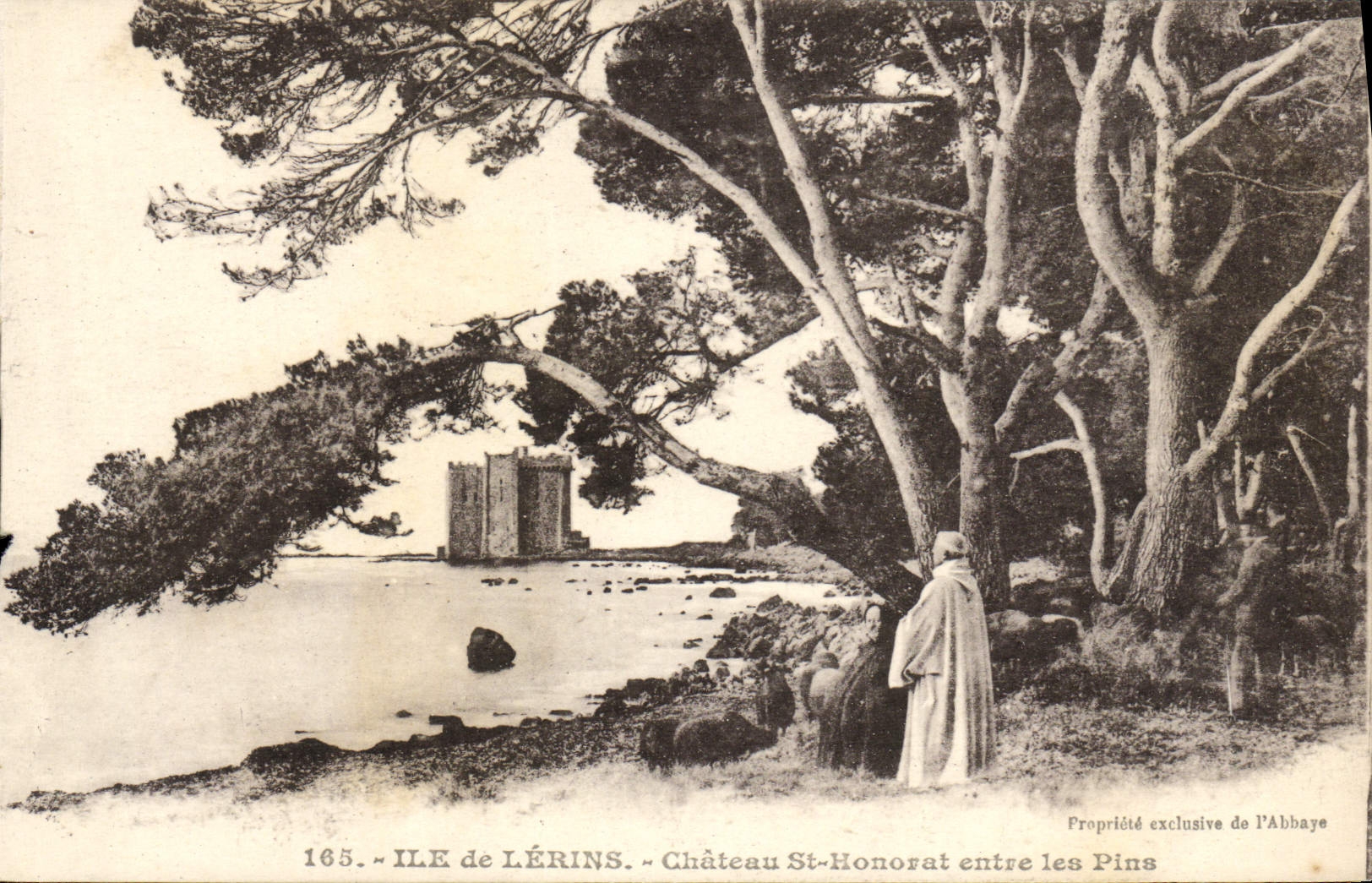 CPA Ile de Lerins Chateau St Honorat entre les Pins 