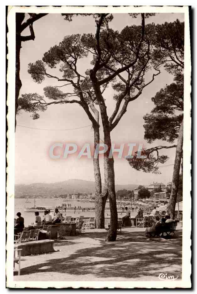 CPA Juan les Pins La Plage de la Pinede 
