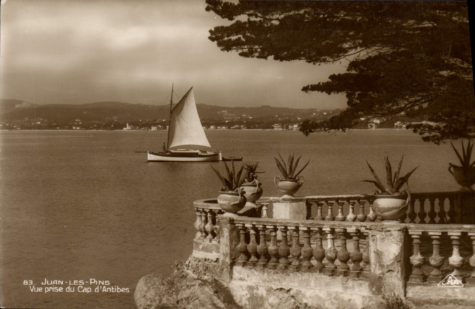 CPA Juan les Pins Vue prise du Cap d'Antibes 