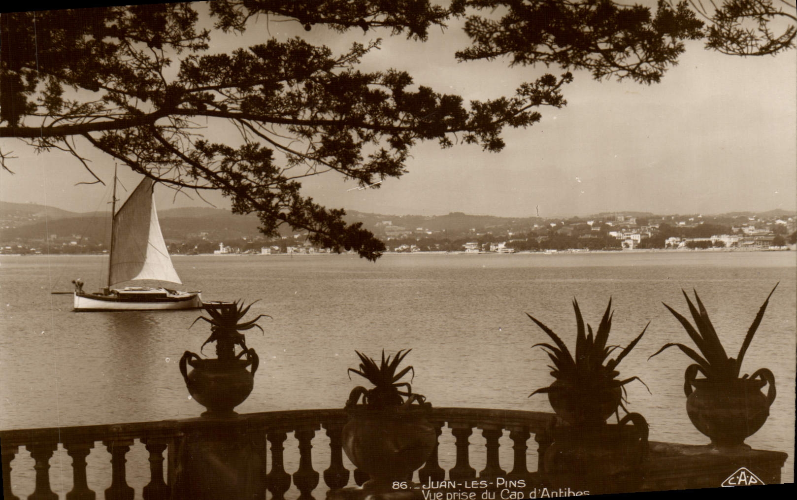 CPA Juan les Pins Vue prise du Cap d'Antibes 