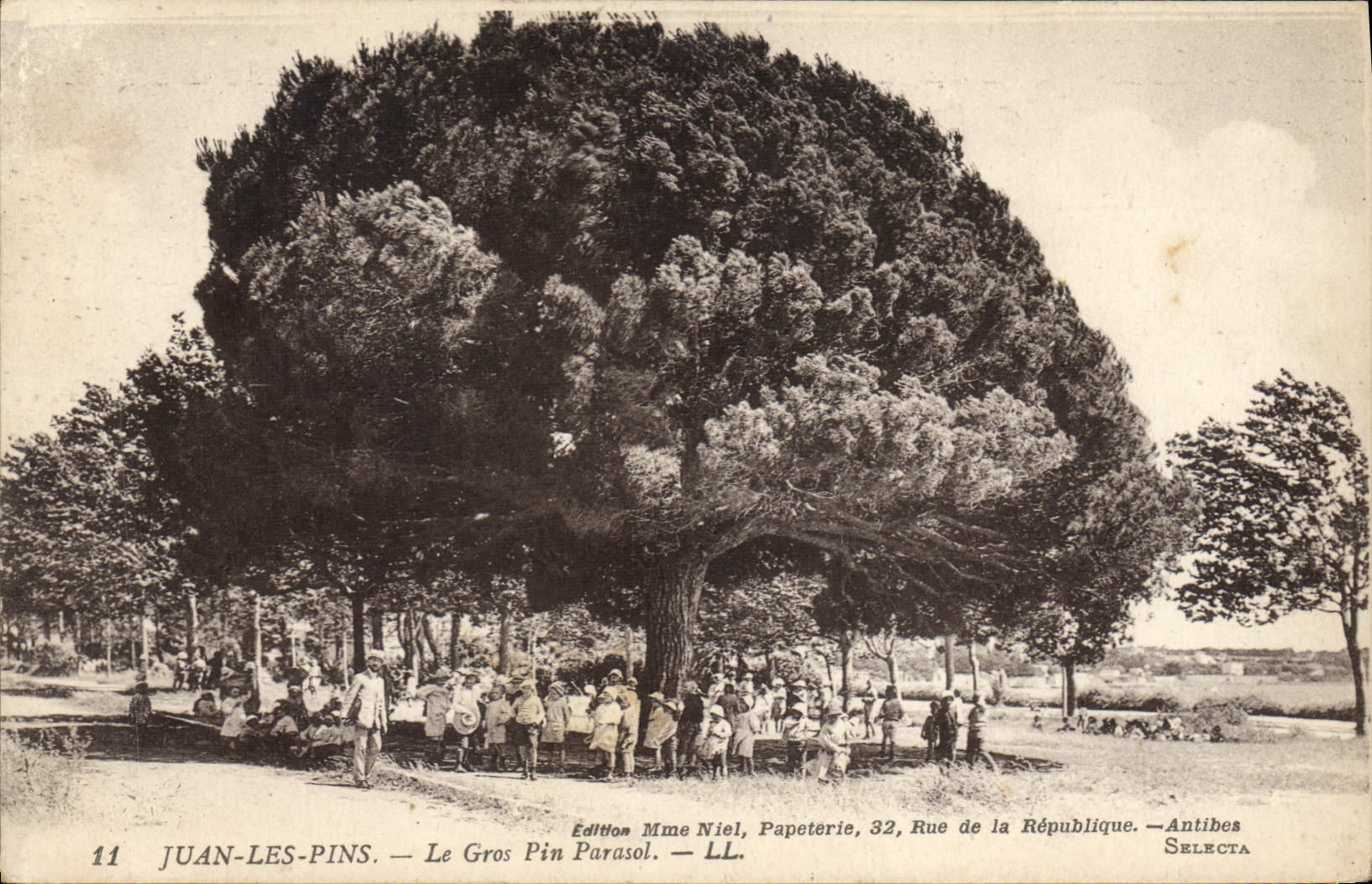 CPA Juan les Pins Le Gros Pin Parasol Enfants