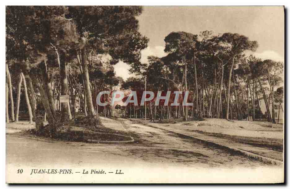 CPA Juan les Pins La Pinede 