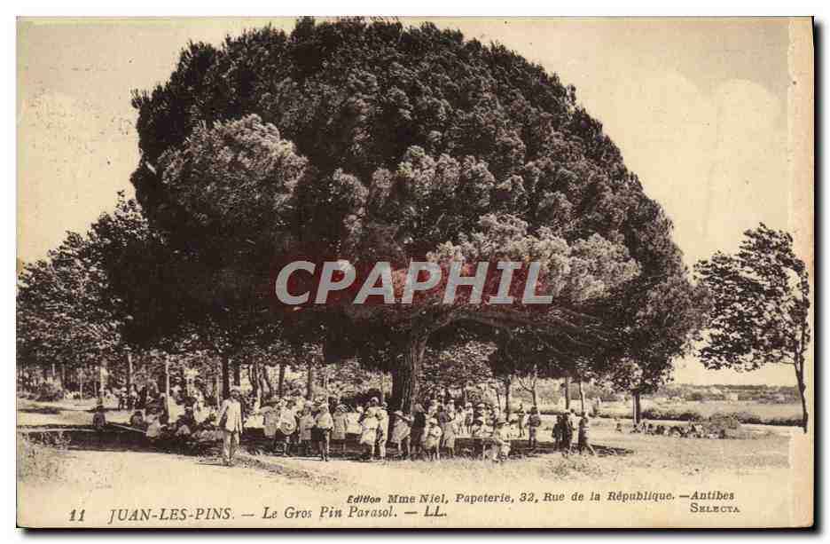 CPA Juan les Pins Le Gros Pin Parasol Enfants