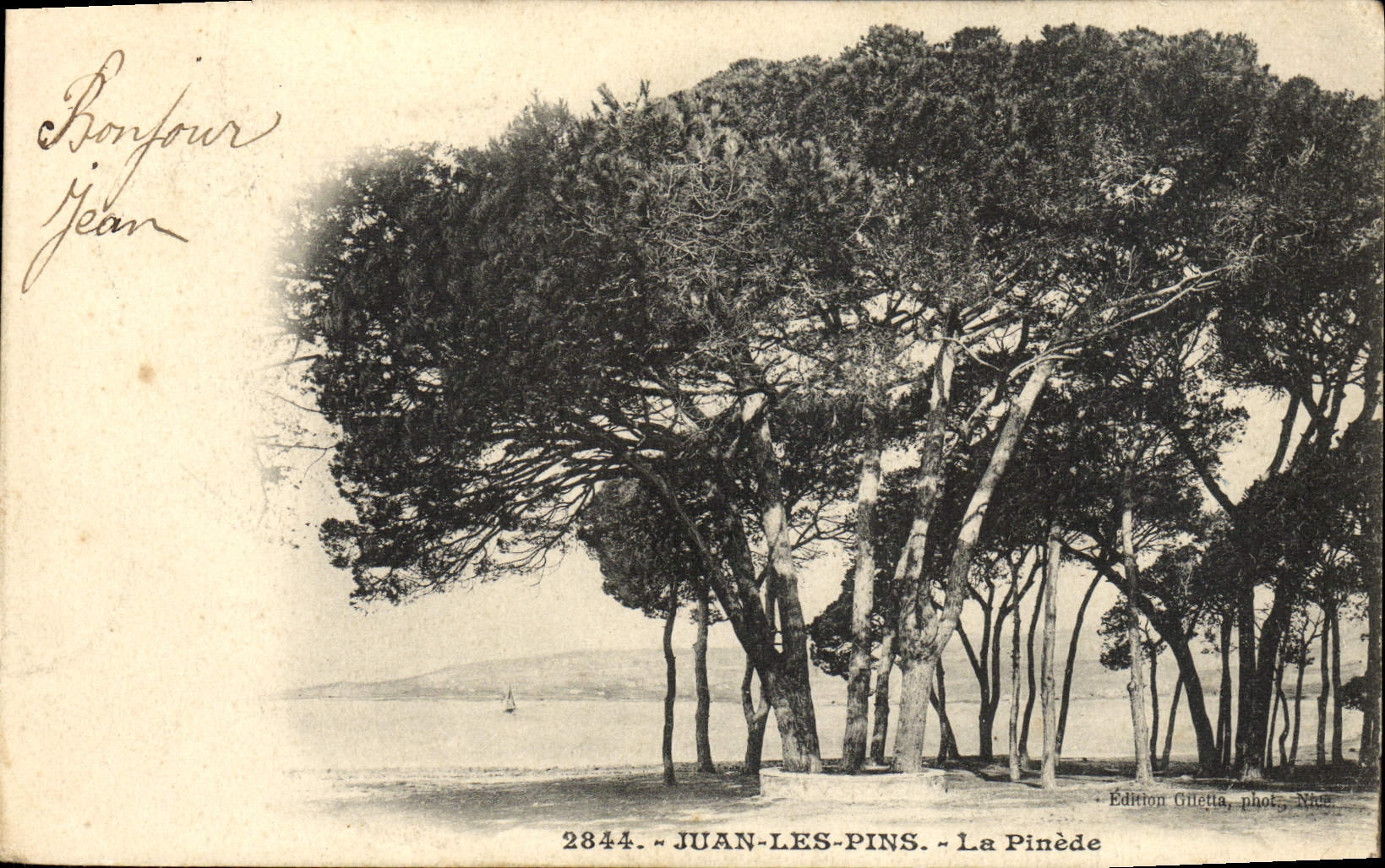 CPA Juan les Pins La Pinede 