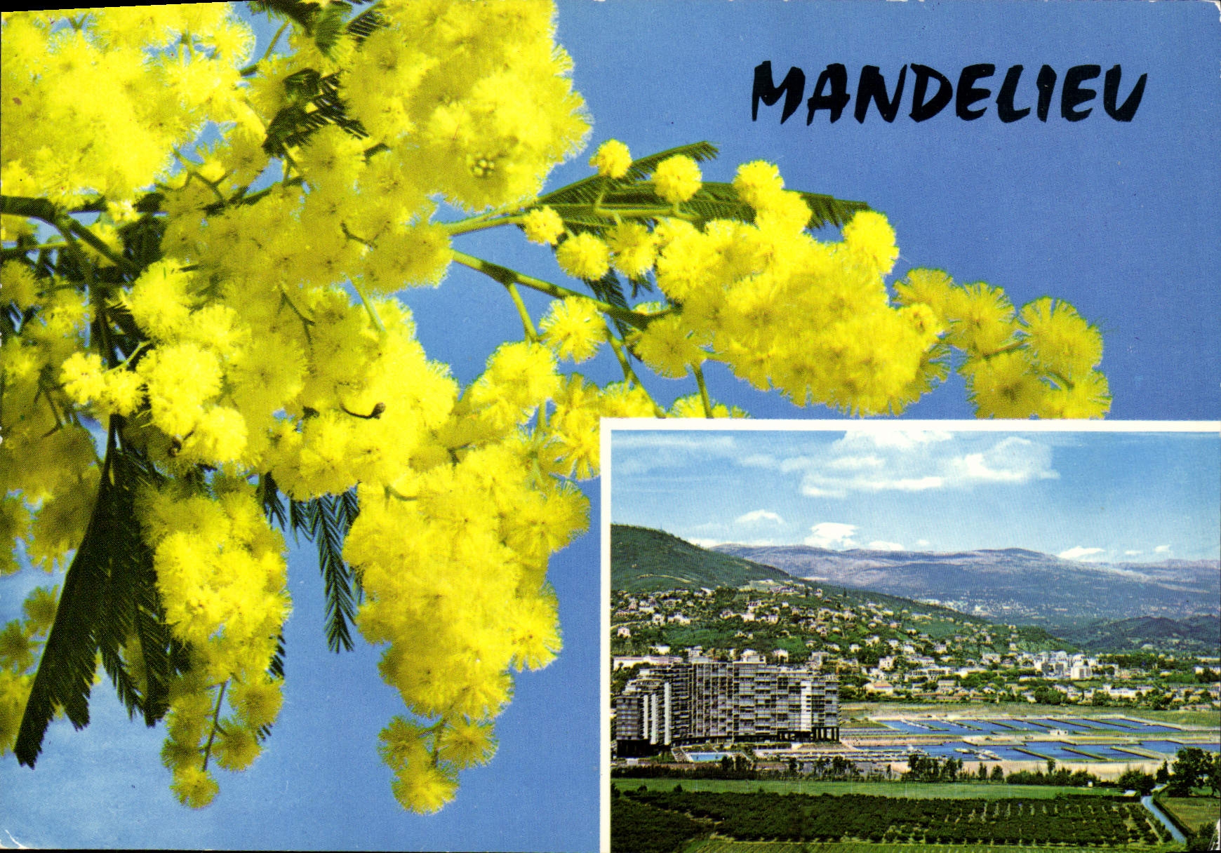CPM Mandelieu Cote D'Azur
