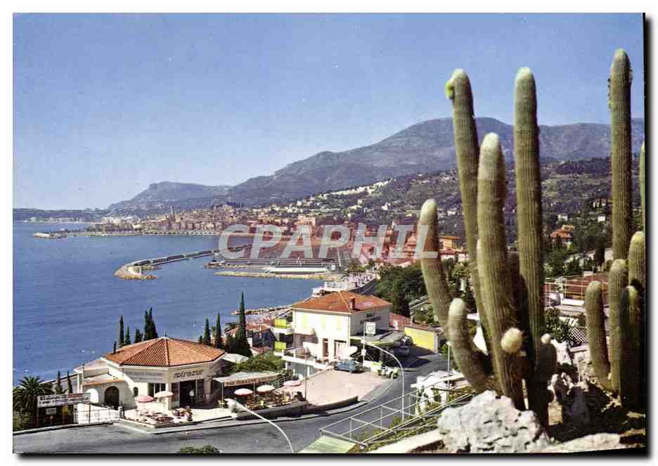 CPM Menton Vue Generale Le Nouveau Port