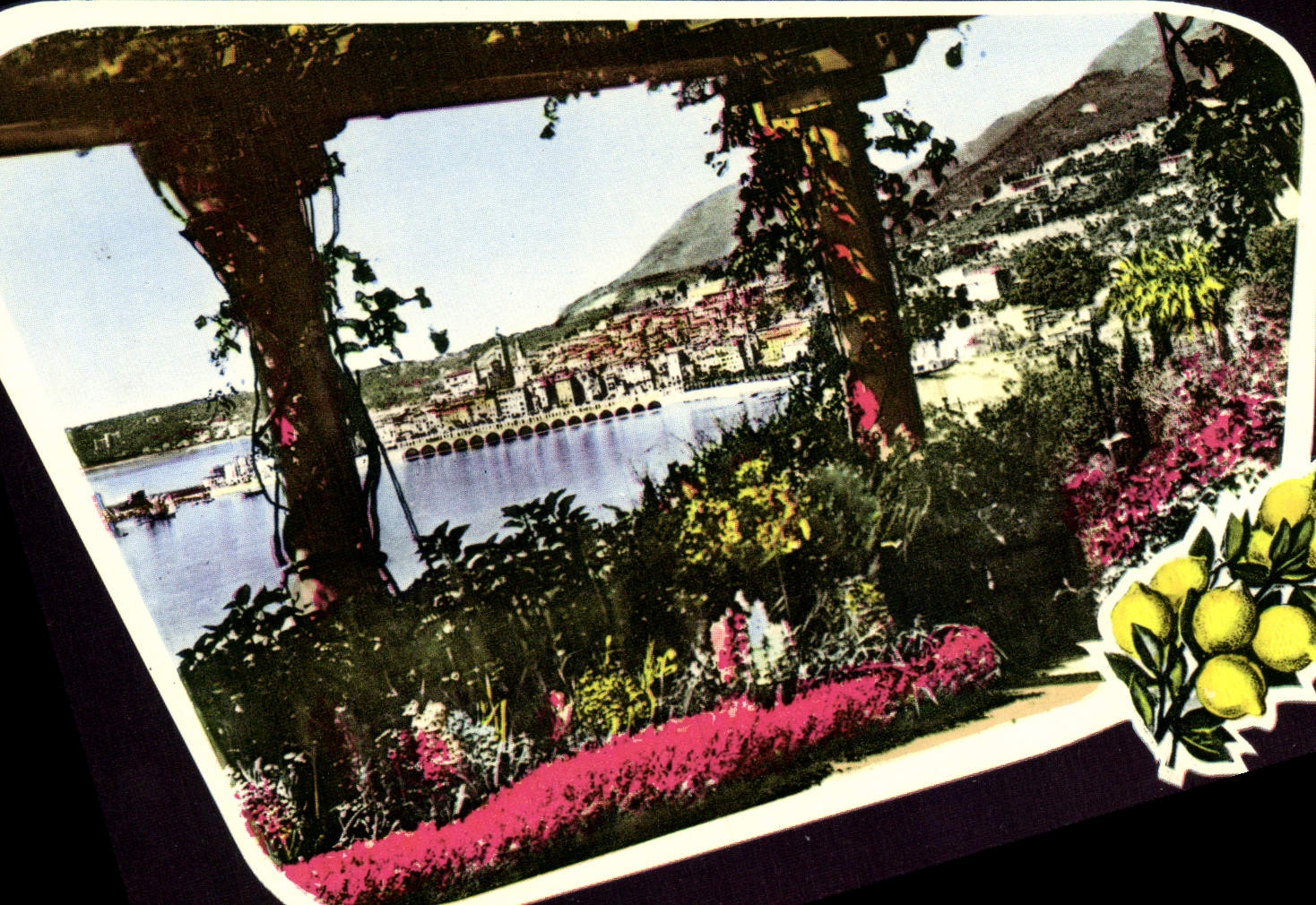 CPM Menton Vue Prise de Garavan Citron