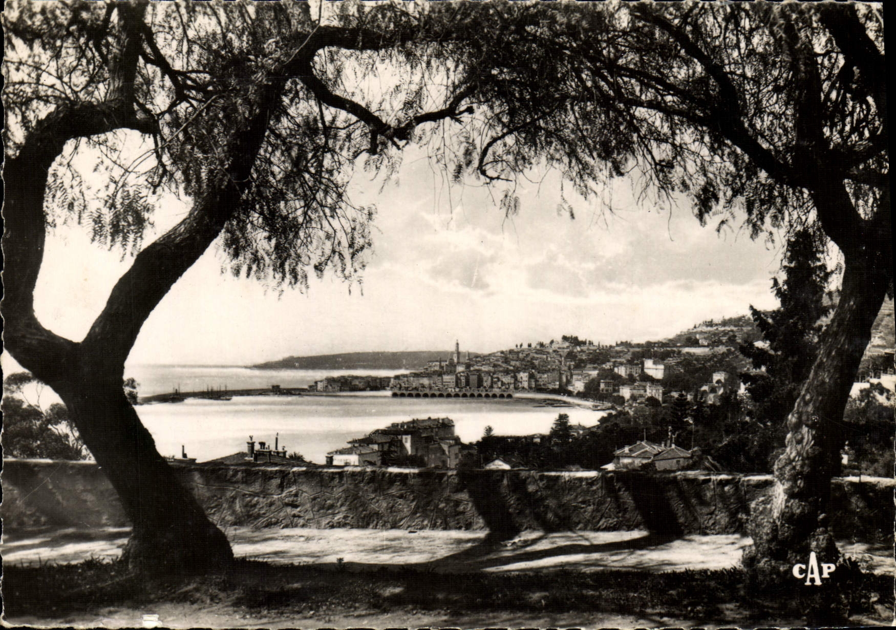 CPM Menton Vue Generale Prise du Boulevard du Garavan