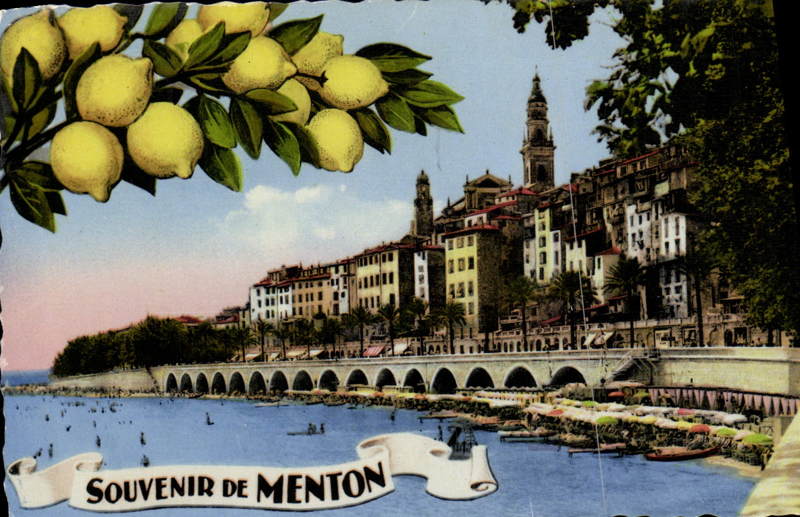 CPM Menton Souvenir De Menton Citrons