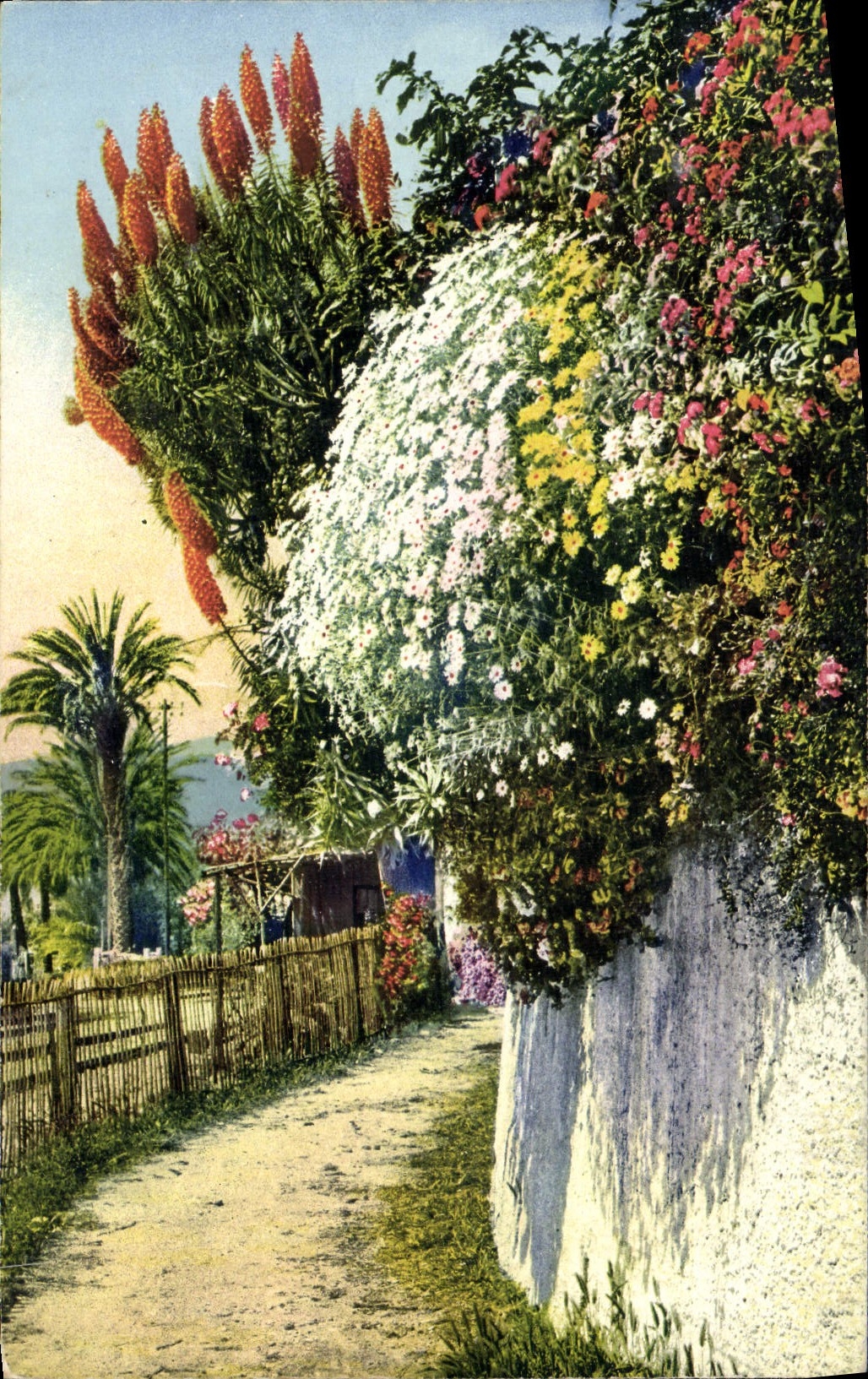 CPA Menton Chemin Fleuri