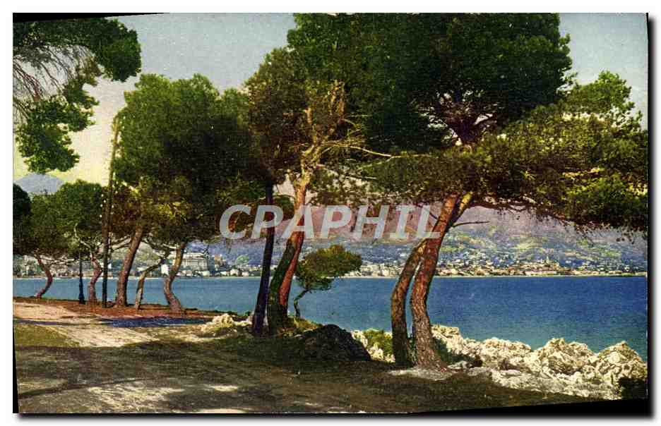 CPA Menton Vue Prise Du Cap Martin