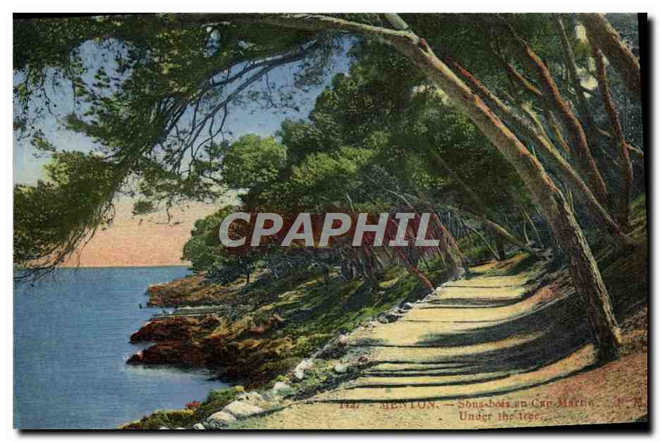 CPA Menton Sous bois au Cap Martin 