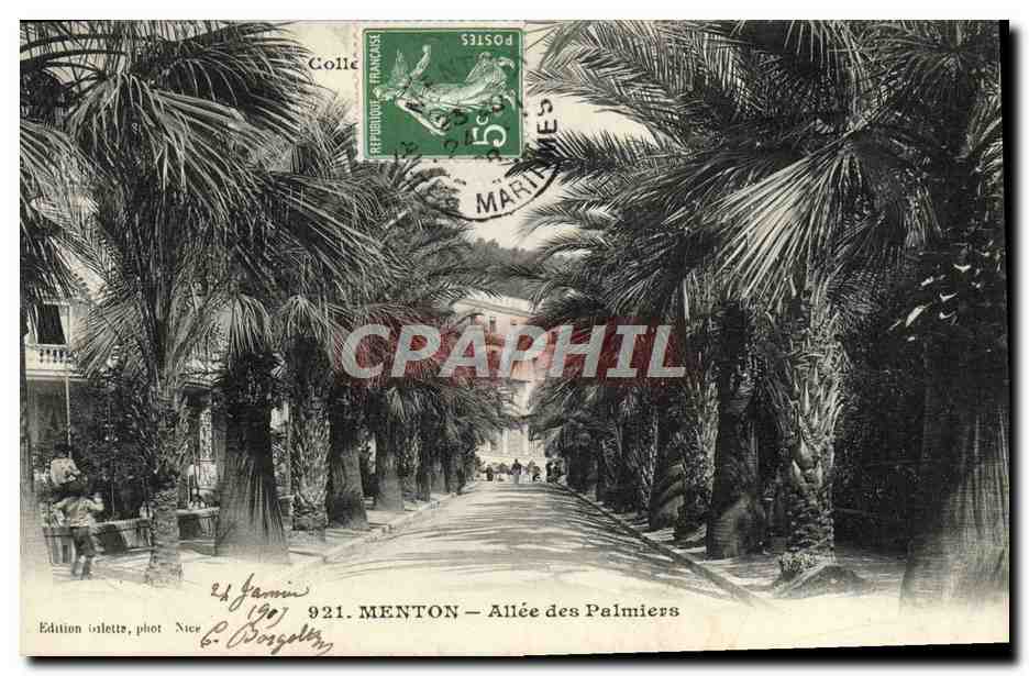 CPA Menton Allee Des Palmiers