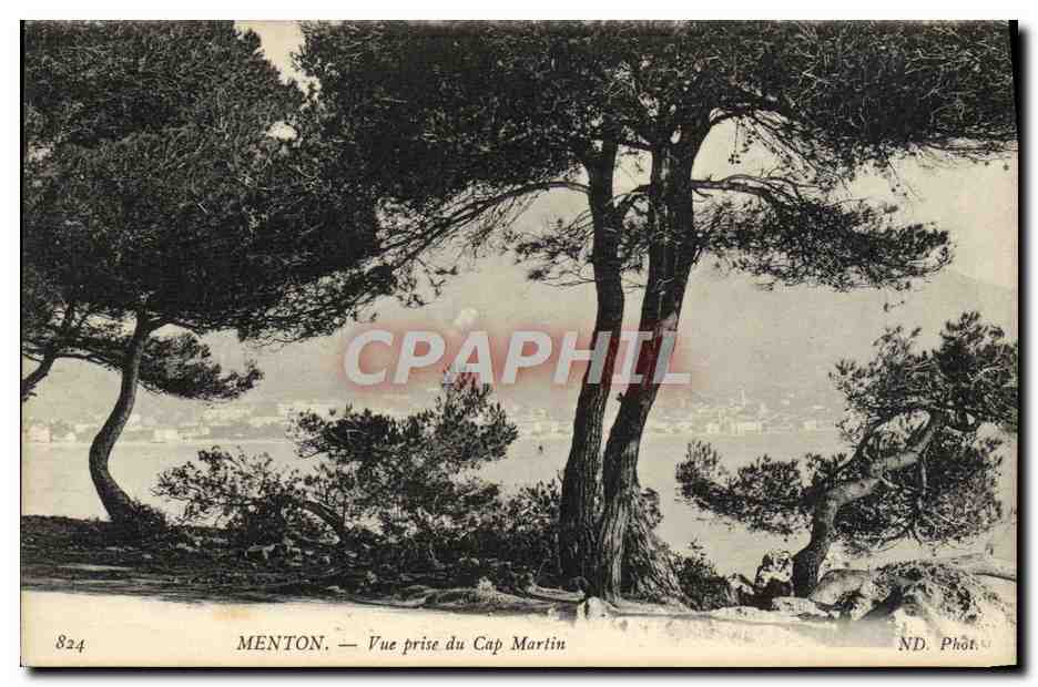 CPA Menton Vue Prise Du Cap Martin
